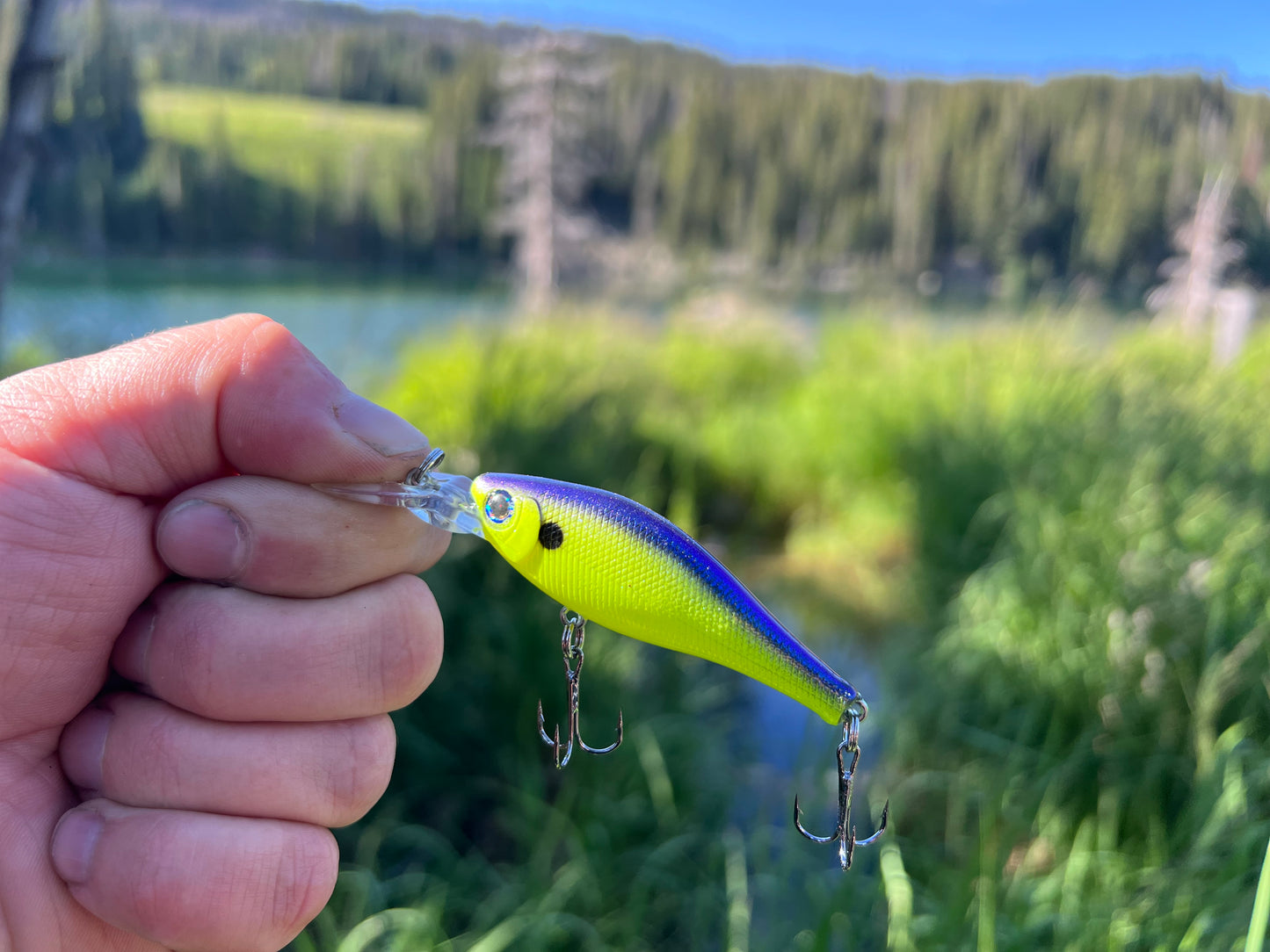 Backwoods-Deep Diver: Chartreuse