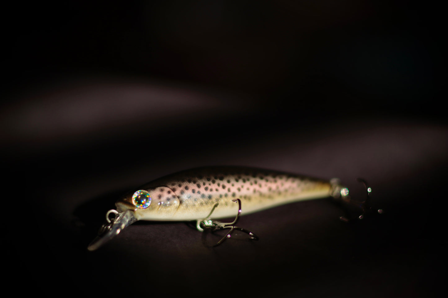 Backwoods Angler Rainbow Trout