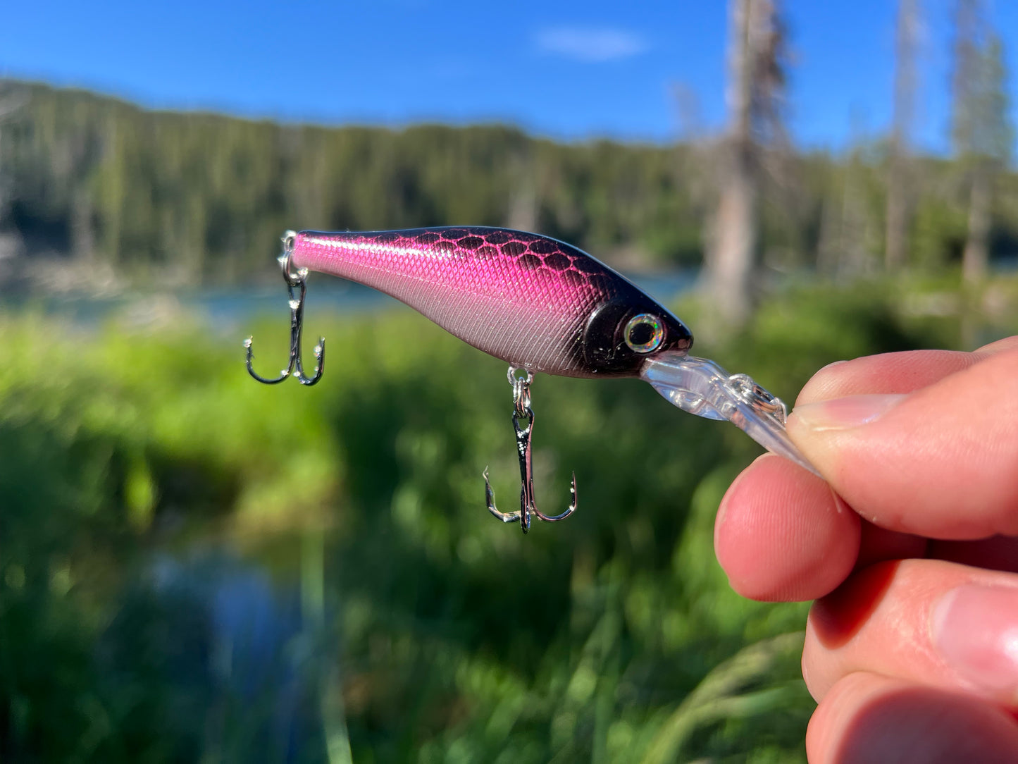 Backwoods-Deep Diver: Pink Shad
