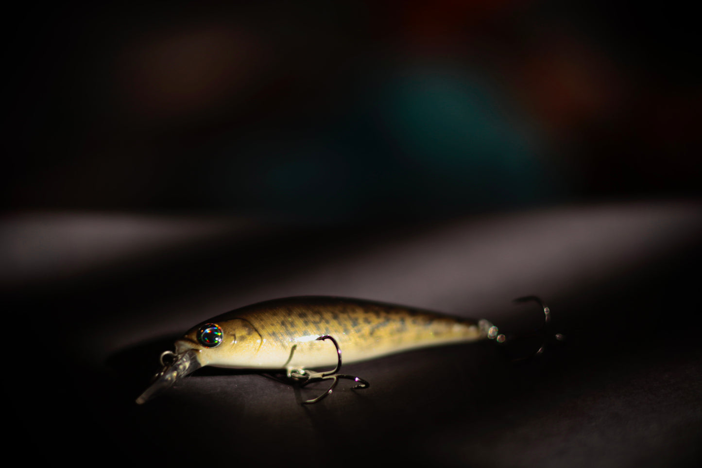 Backwoods Bass