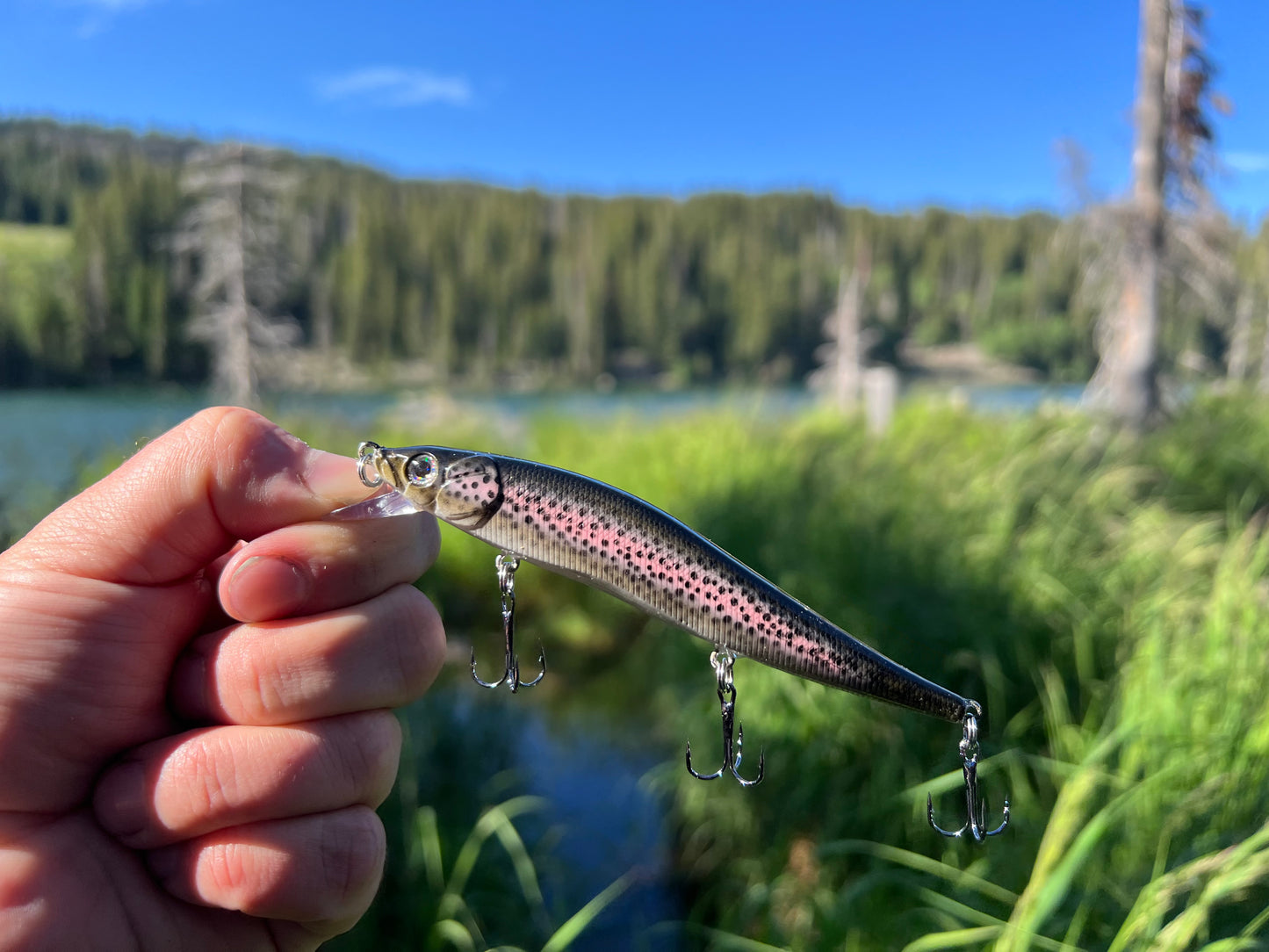 Backwoods. Vision 110 Rainbow