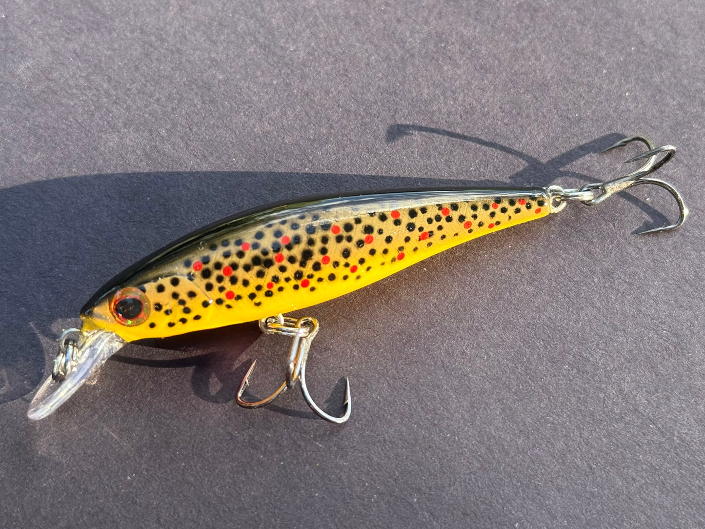 Backwoods Brown Trout