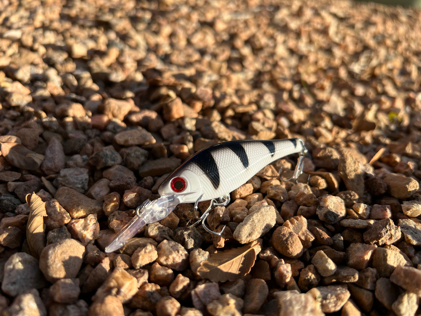 Backwoods-Deep Diver: Black & White Perch