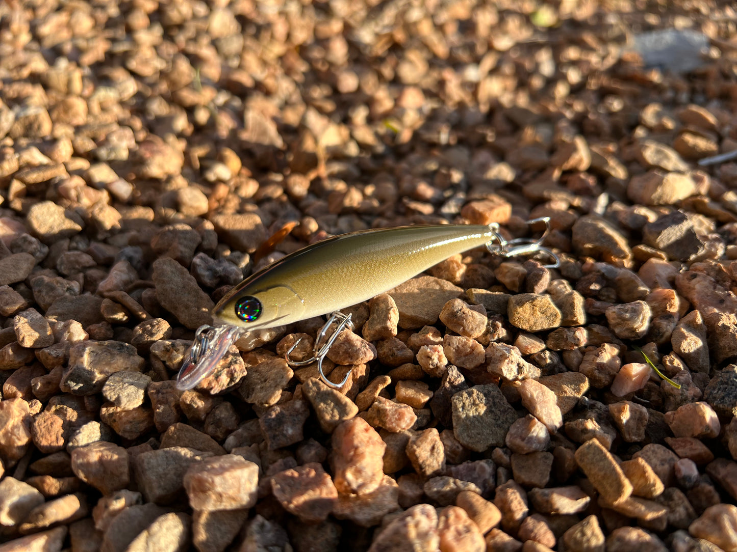 Backwoods Bait Fish