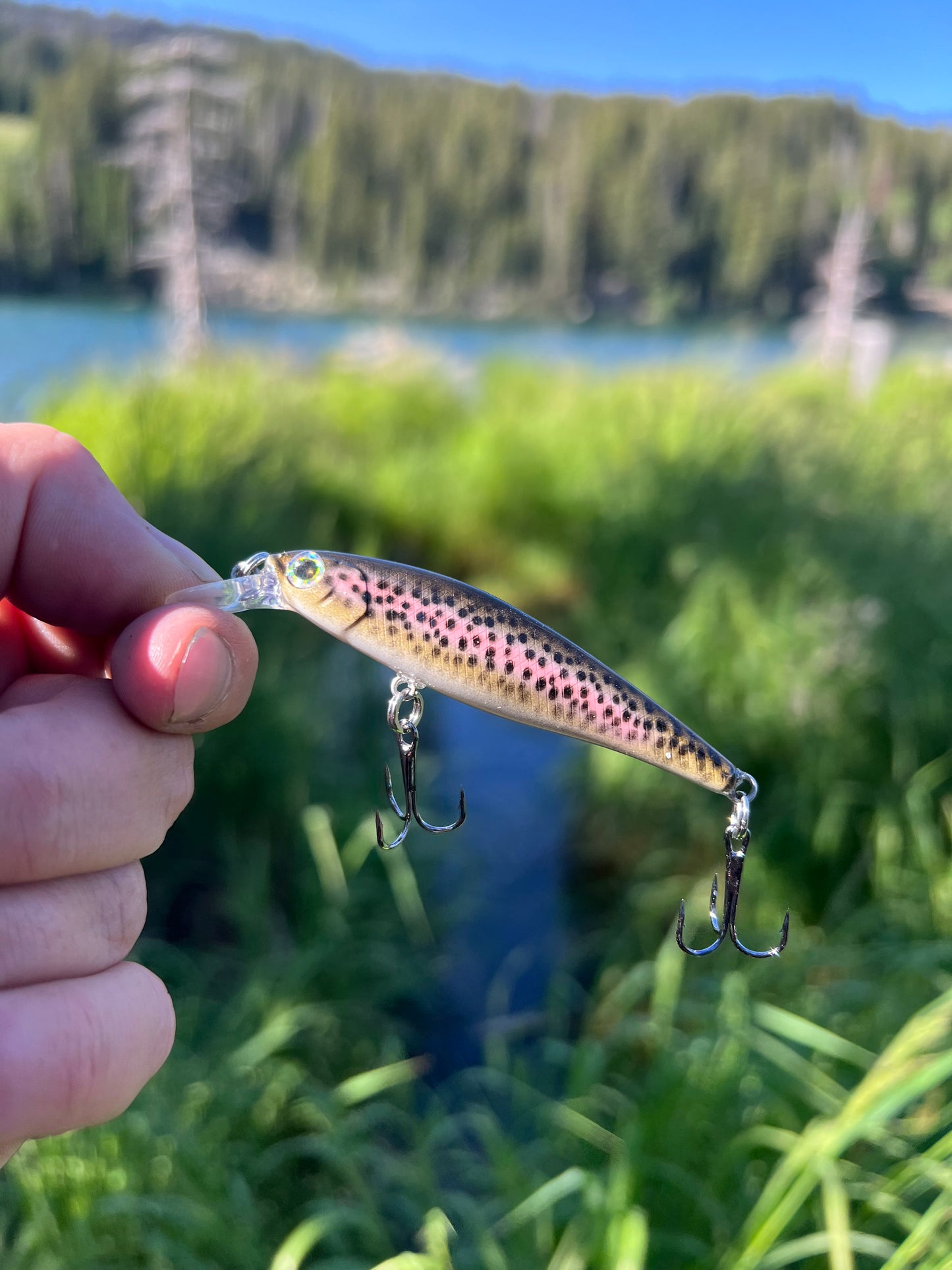 Backwoods Angler Rainbow Trout