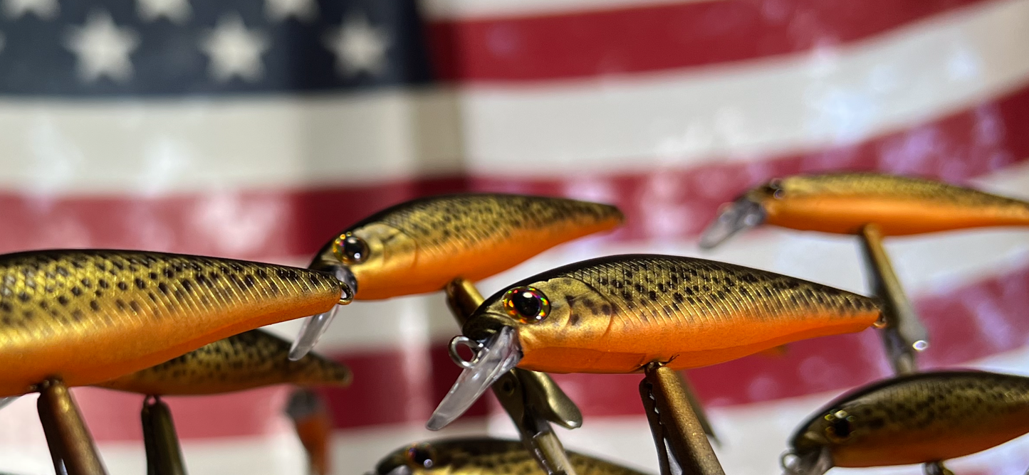 Backwoods Gold Trout