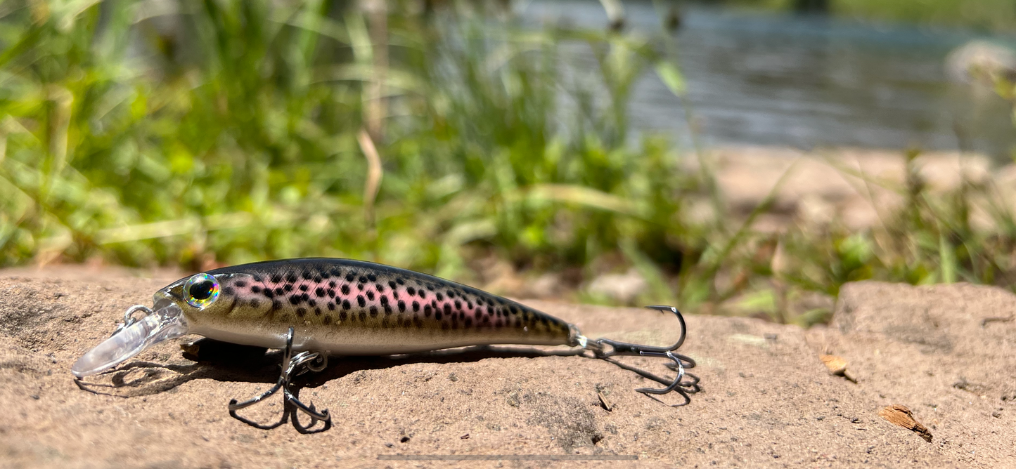 Backwoods Angler Rainbow Trout