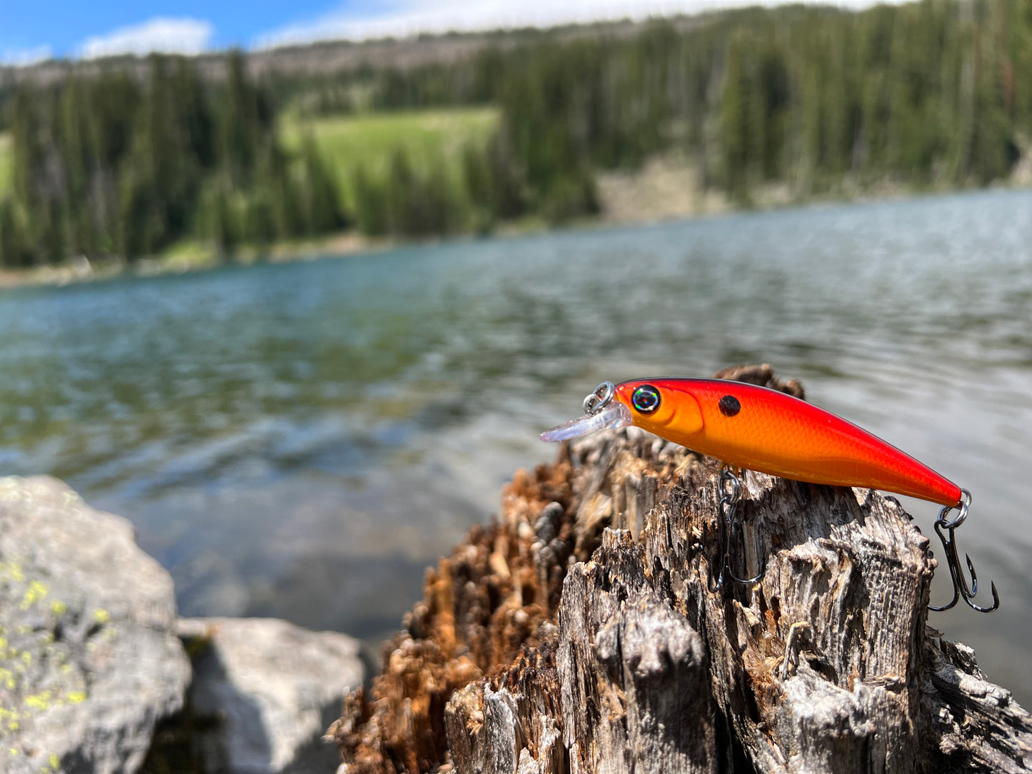 Backwoods Fire fish