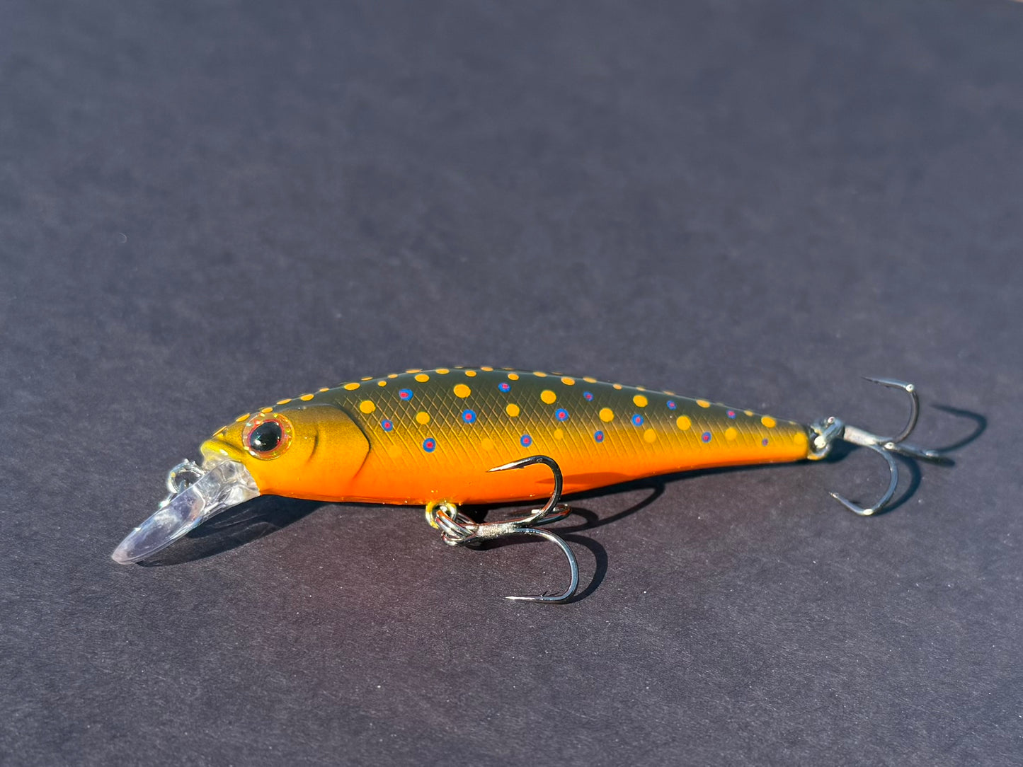 Backwoods Brook Trout