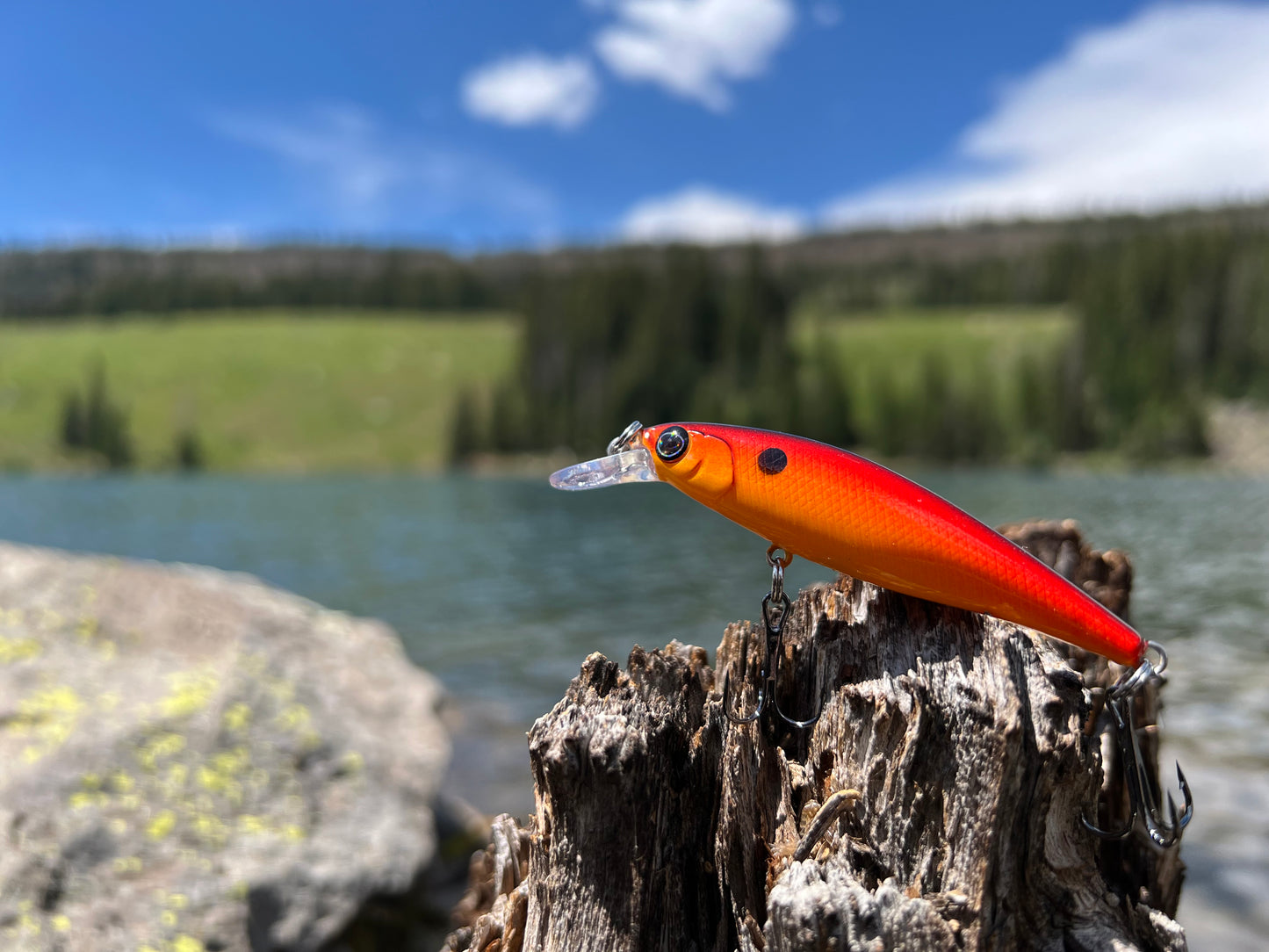 Backwoods Fire fish