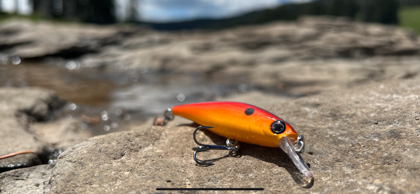 Backwoods Fire fish