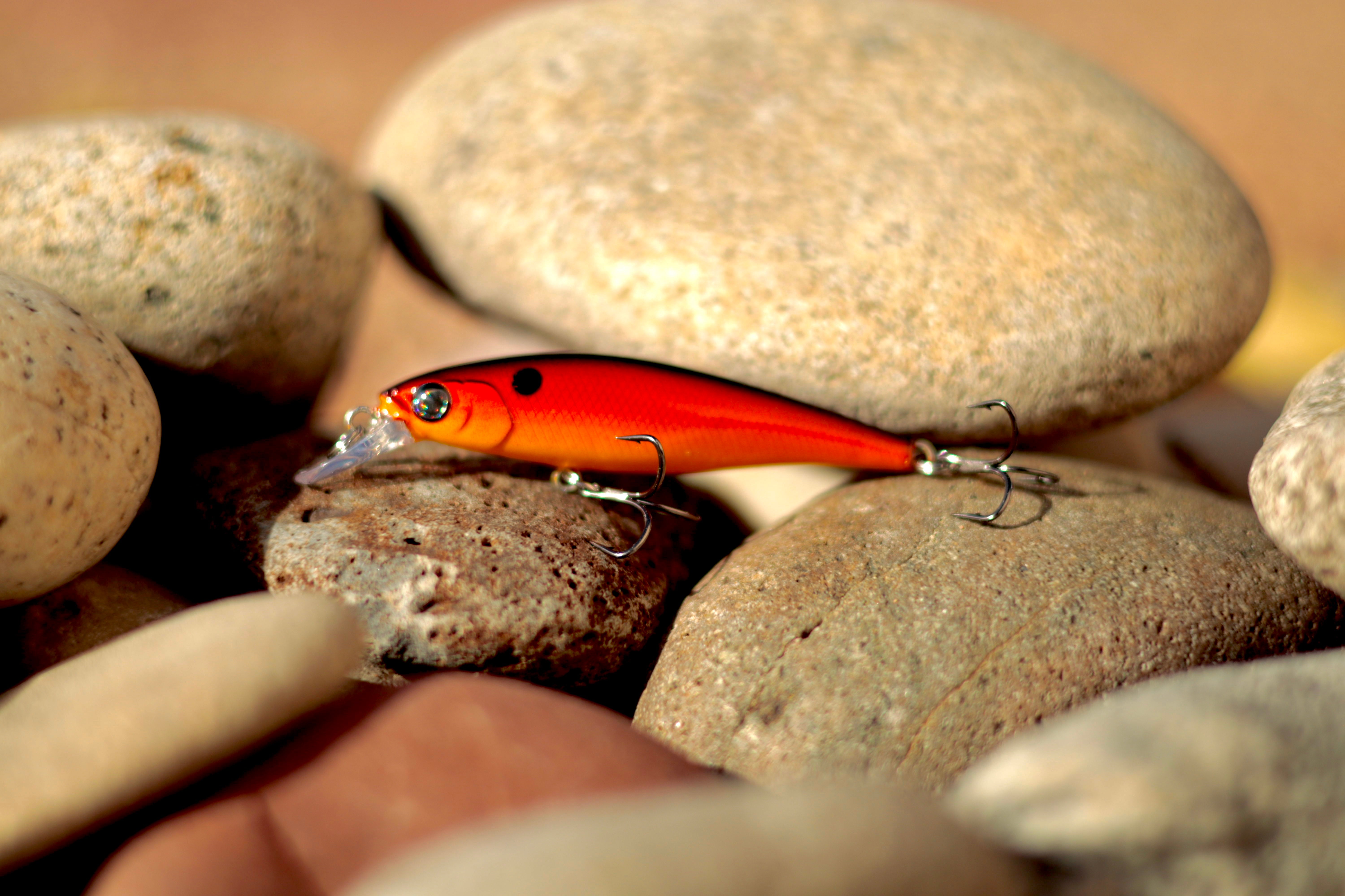 Backwoods Fire fish – Backwoods Angler