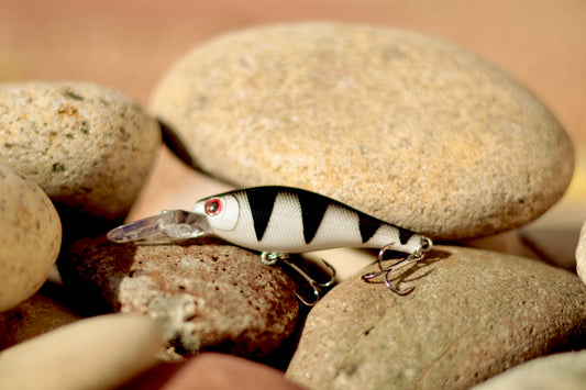 Backwoods-Deep Diver: Black & White Perch