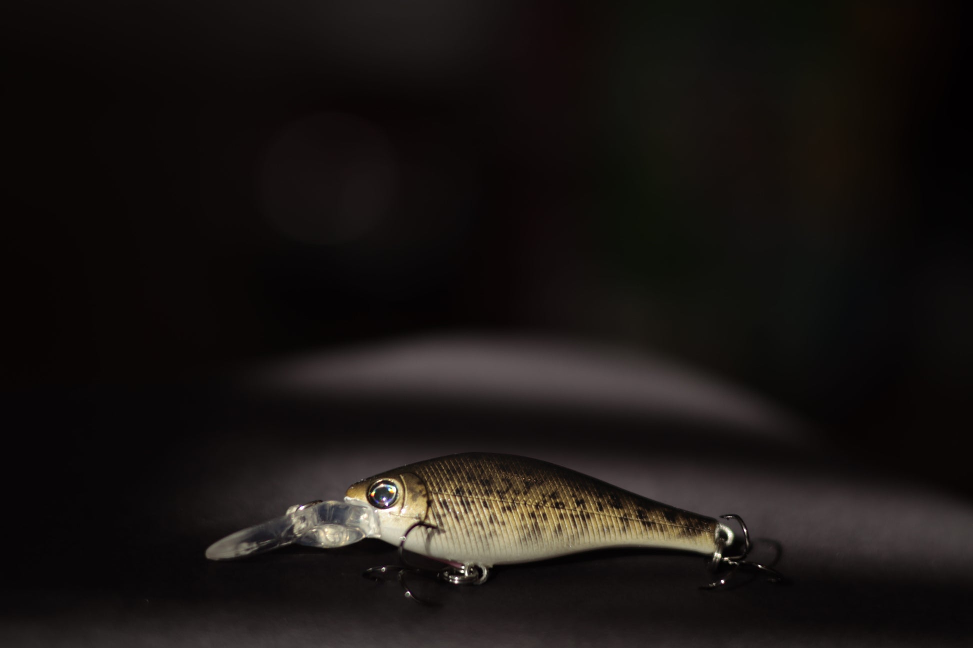 best deep diving bass lures Backwoods-Deep Diver: Bass – Backwoods Angler