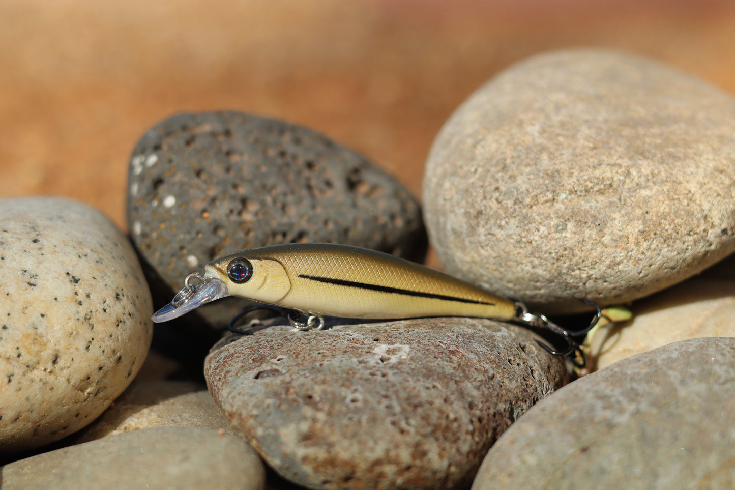 Backwoods Fathead Minnow