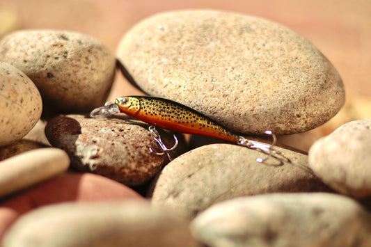 Backwoods Gold Trout