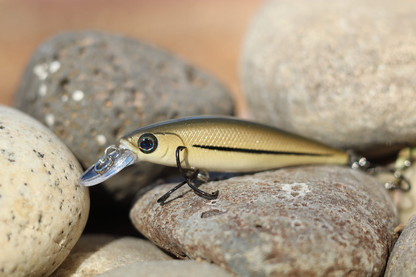 Backwoods Fathead Minnow