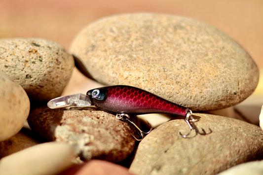 Backwoods-Deep Diver: Pink Shad