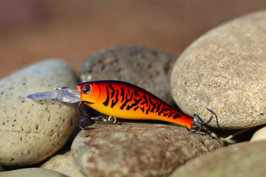 Backwoods-Deep Diver: Fire Fish
