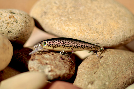 Backwoods Angler Rainbow Trout