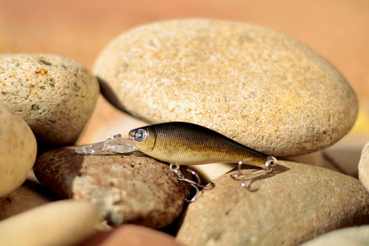 Backwoods-Deep Diver: Bass