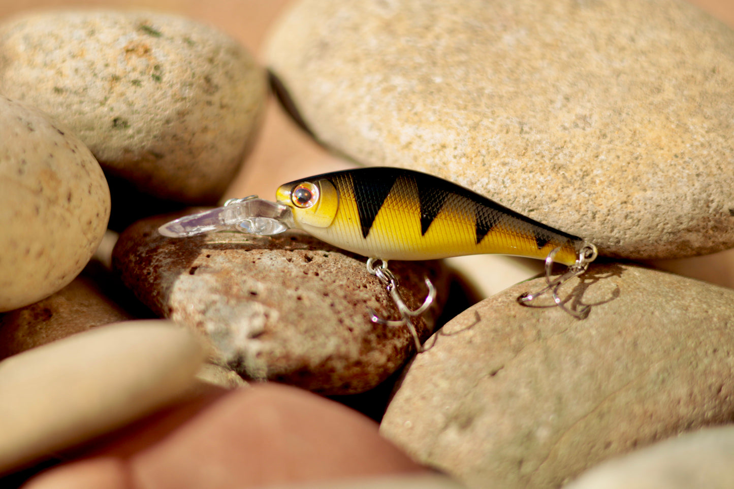 Backwoods-Deep Diver: Natural Perch