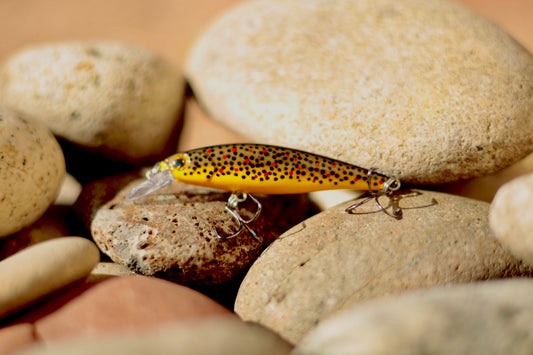 Backwoods Brown Trout