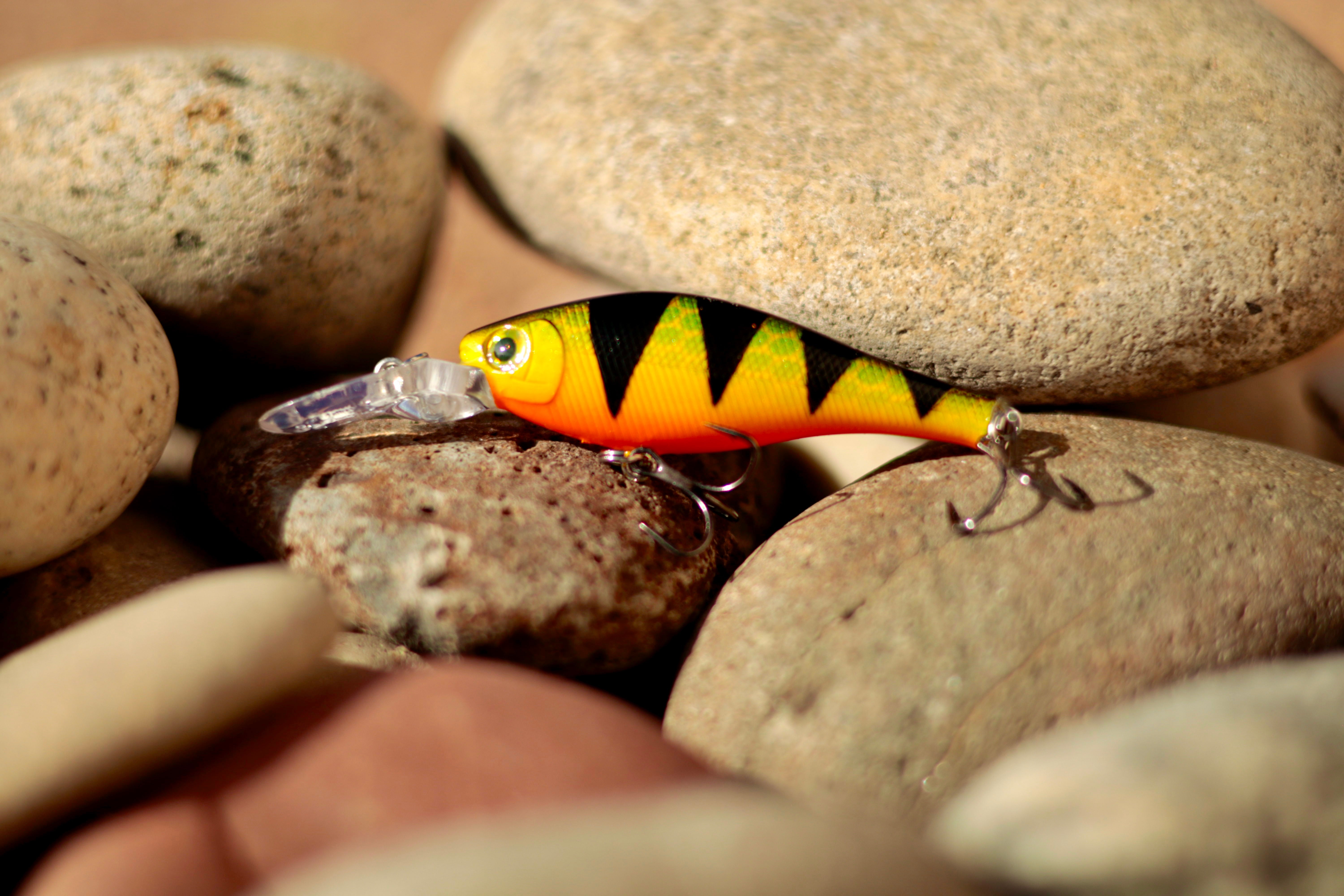 Backwoods-Deep Diver: Bright Perch – Backwoods Angler