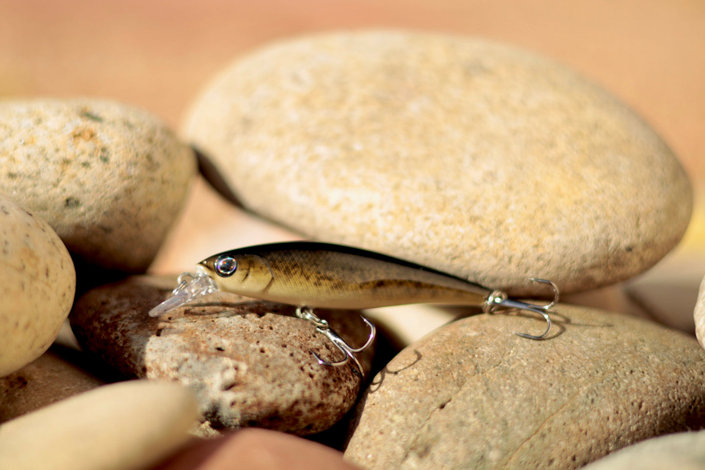 Backwoods Bass