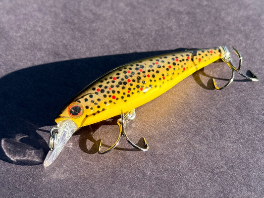 Backwoods Brown Trout