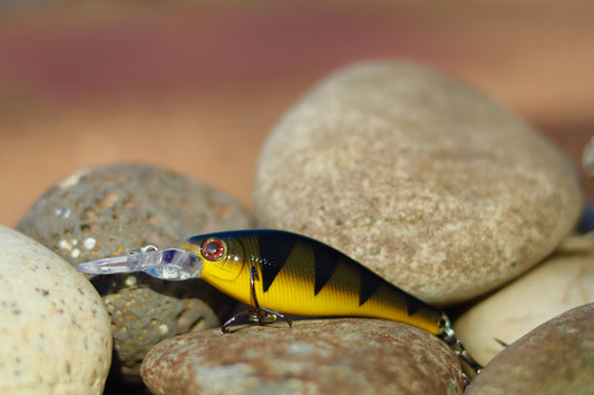 Backwoods-Deep Diver: Natural Perch
