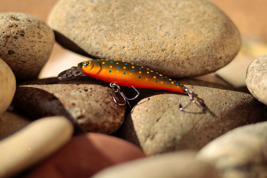 Backwoods Brook Trout