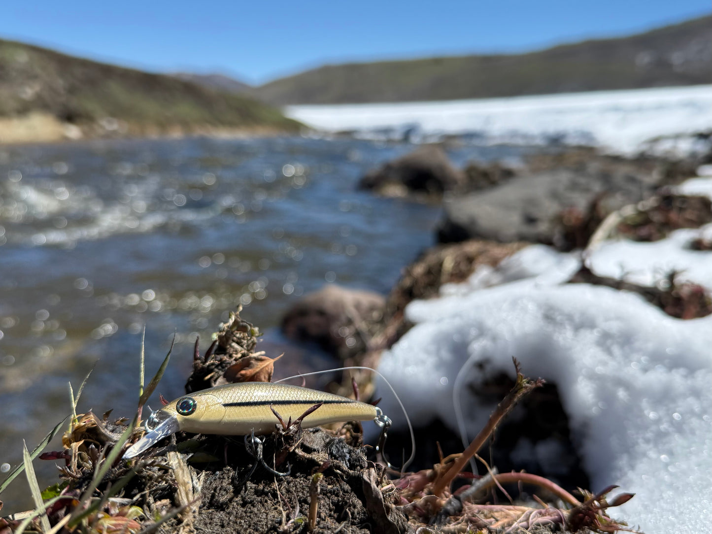 Backwoods Fathead Minnow