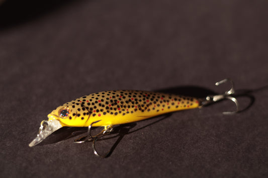 Backwoods Brown Trout